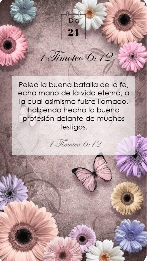1 Timoteo 6:12