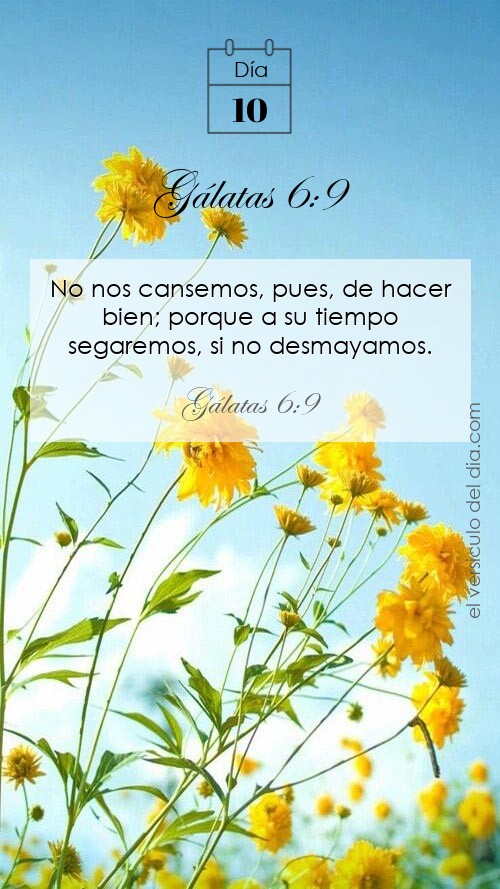 Gálatas 6:9