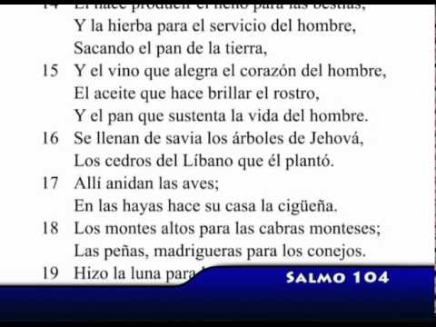 Salmo 104 – Biblia en audio y video