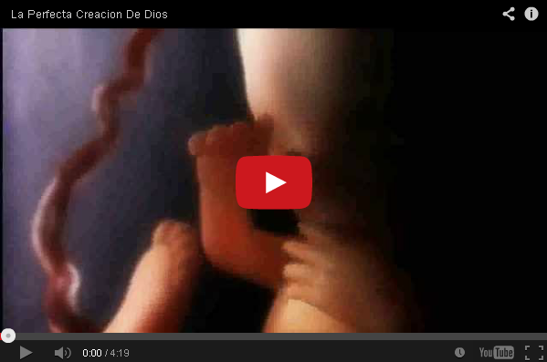 creacion de dios
