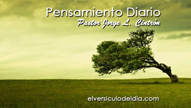 PENSAMIENTO DIARIO –DEPENDER