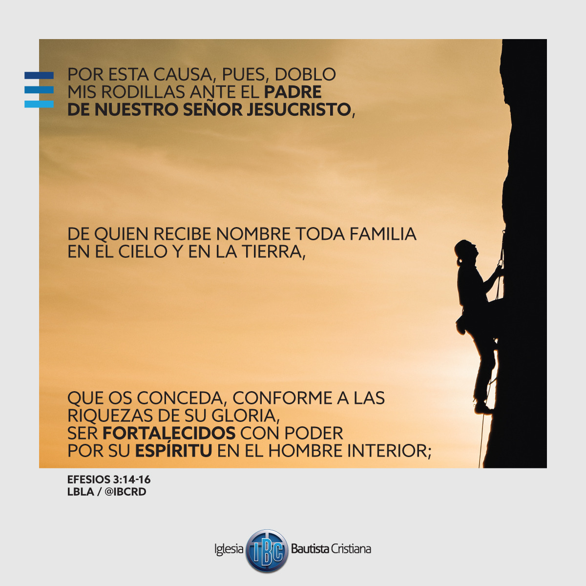91E136C2-2803-4C9F-831A-7BB24BAD1546.jpe