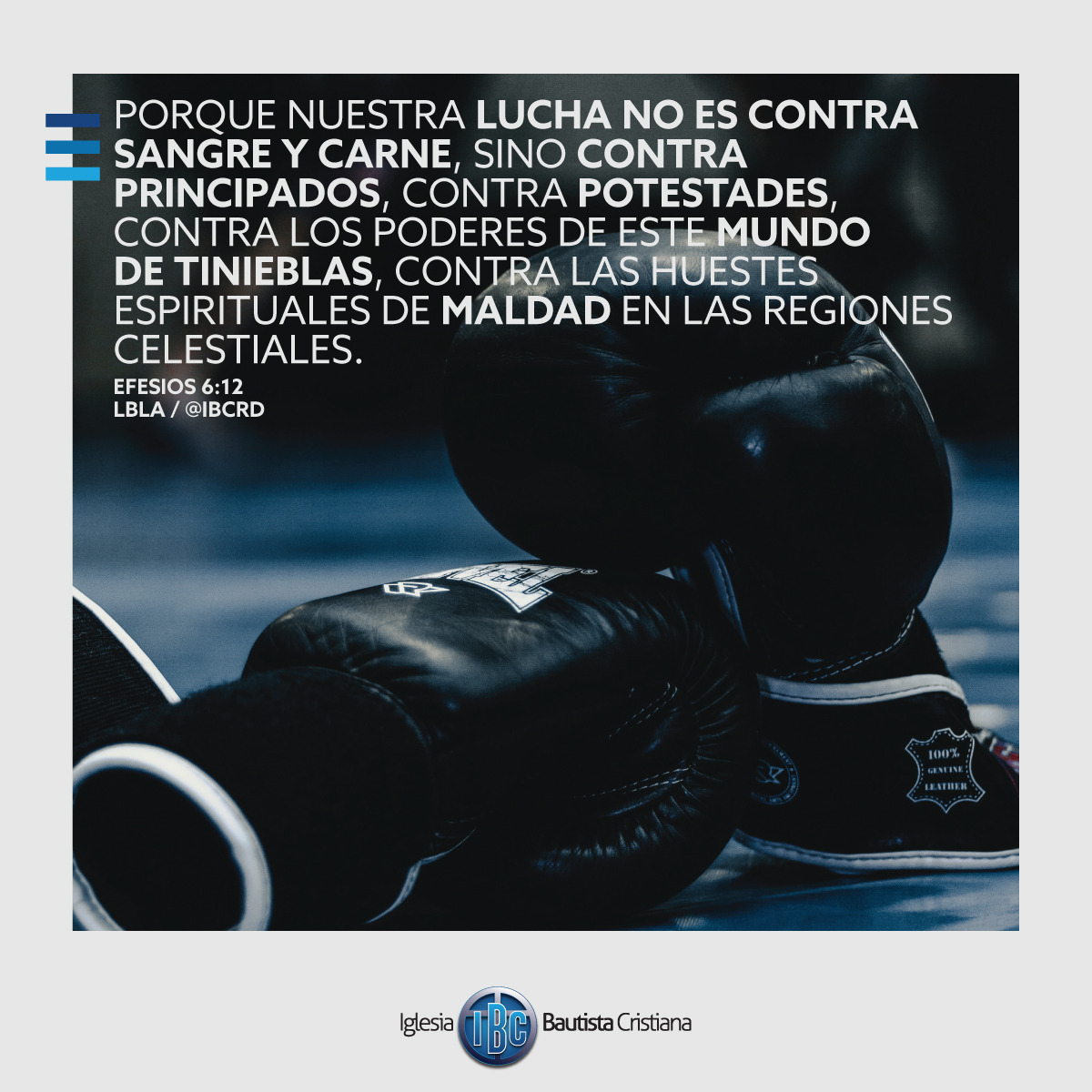 74C4969F-6701-417D-8FBE-77ACA186D85A.jpe