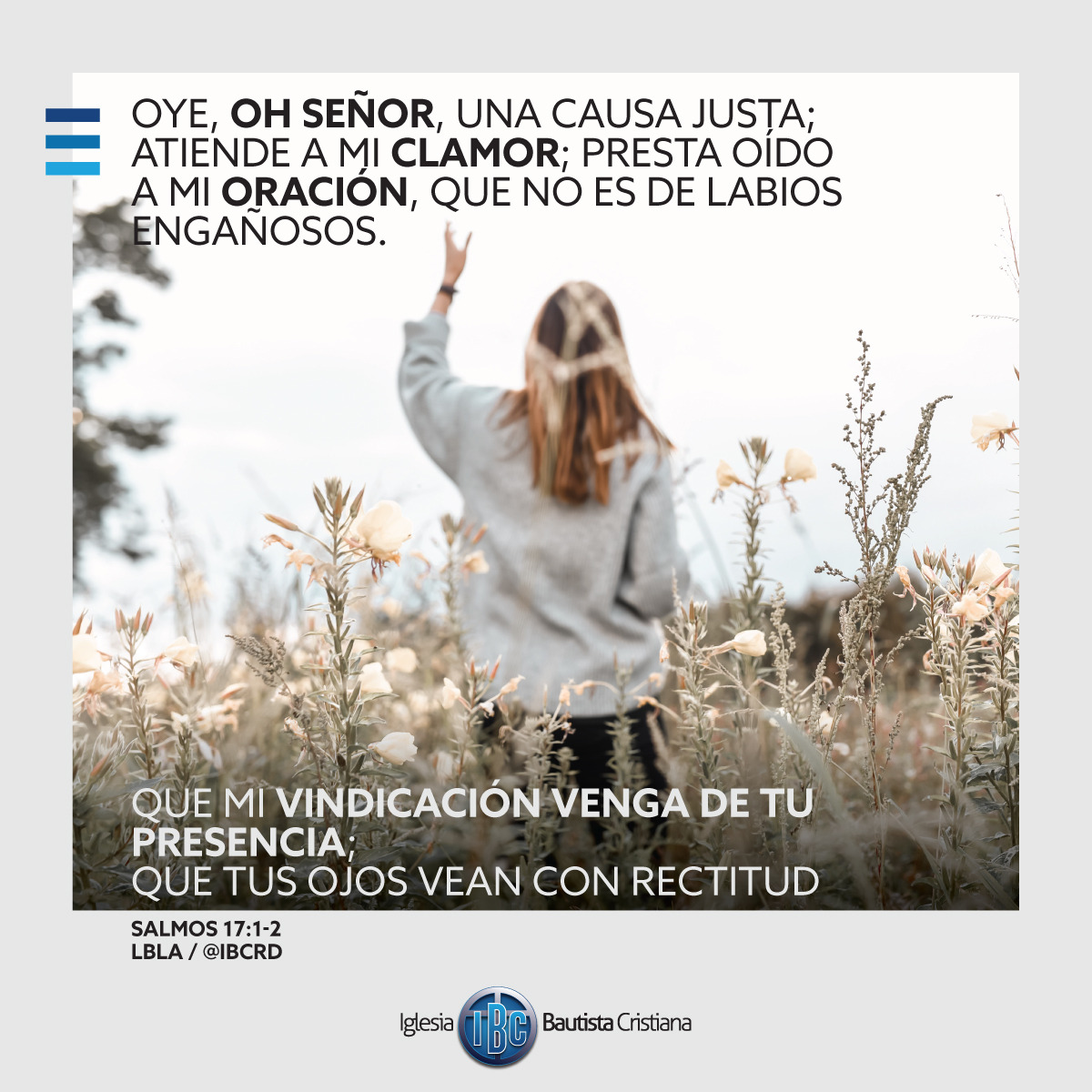 FBDD9281-4CC8-41A7-A366-5C3DBEFB02A3.jpe