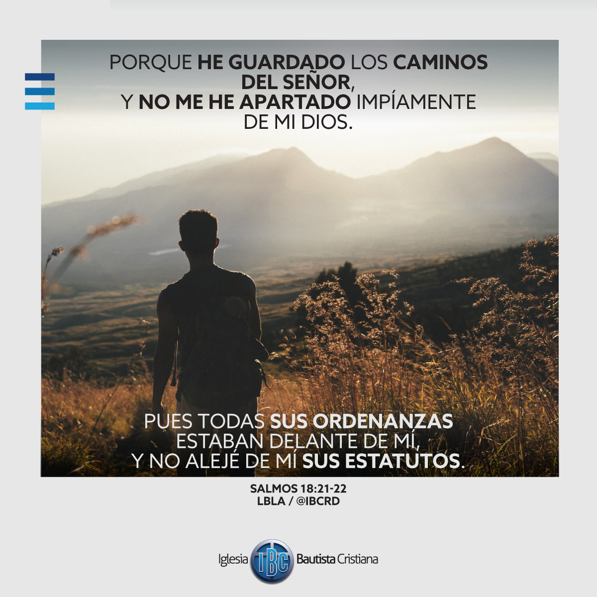 0BFB6AE8-94E6-4AFF-BDF7-9F0D3C1F42C3.jpe