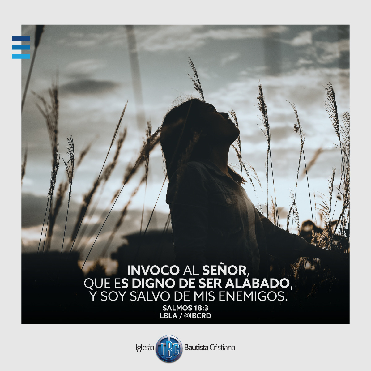 64469376-7BE7-4E79-AAC9-A07052A8C5CD.jpe
