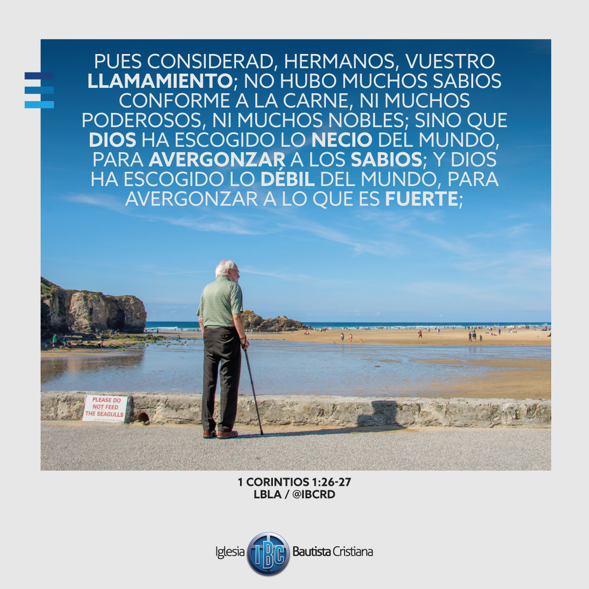 EBDDA3D1-FA87-461C-8EDC-0E046E996274.jpe