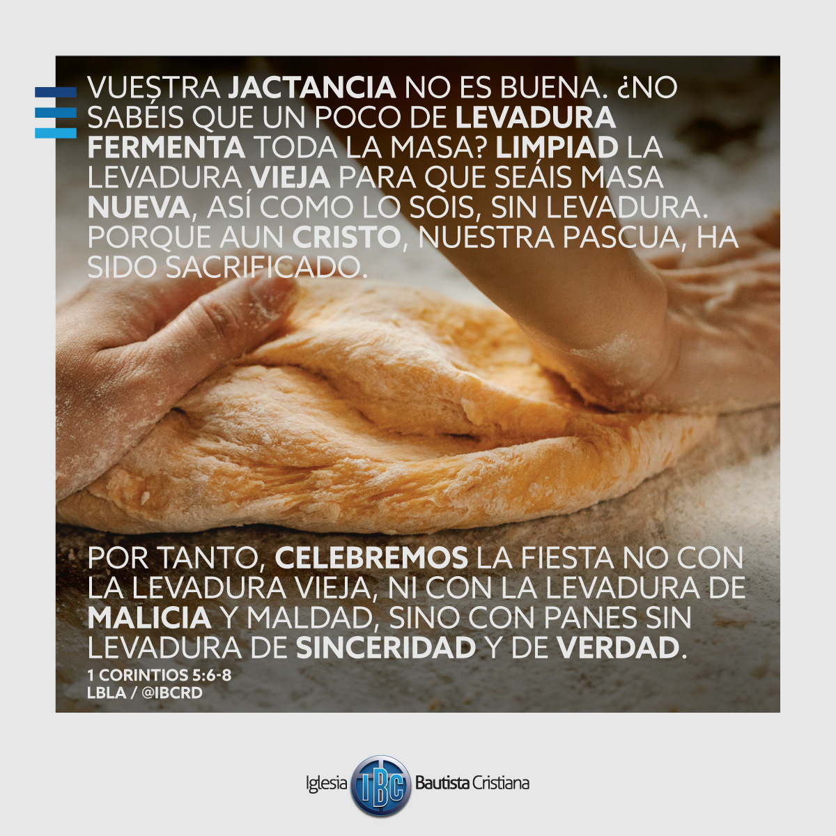 73F8F753-3206-4EDD-9937-3399FF9519AB.jpe