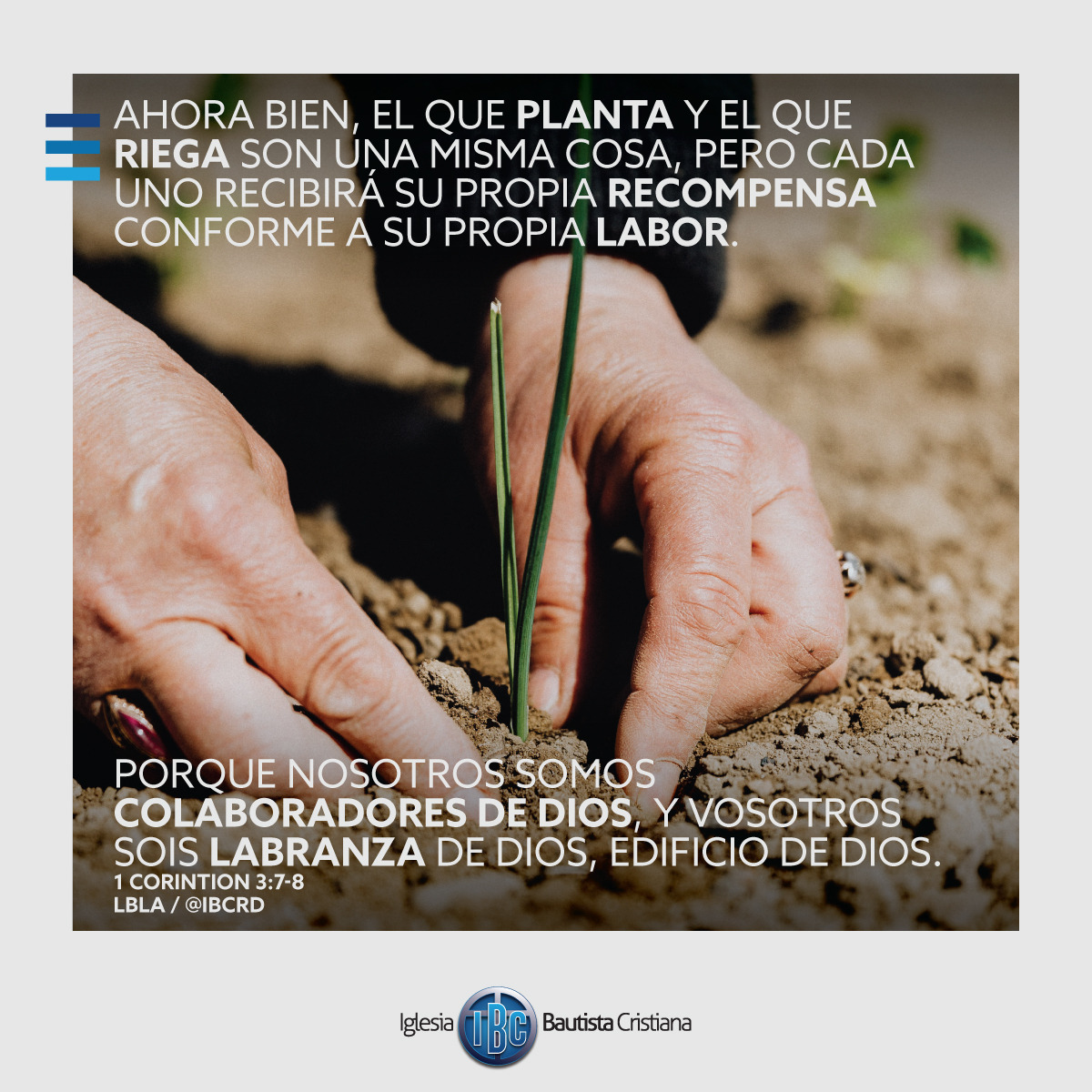 A7DBED72-B3E2-44B4-9669-2D997FDB6461.jpe