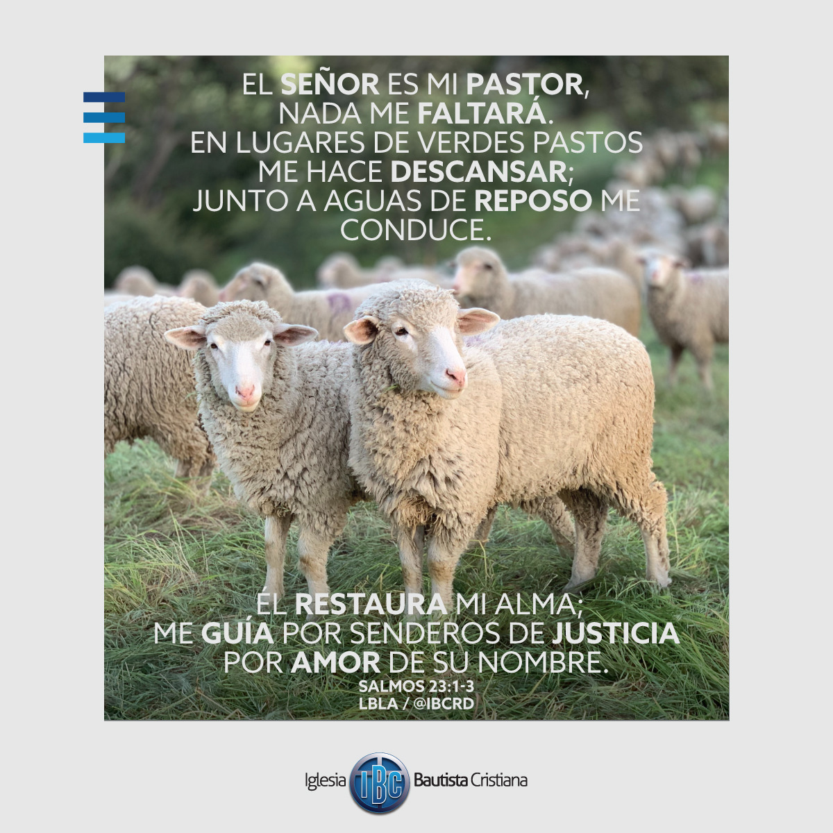 673C4E27-8EBB-4D8E-9679-D45D29B1ABA4.jpe