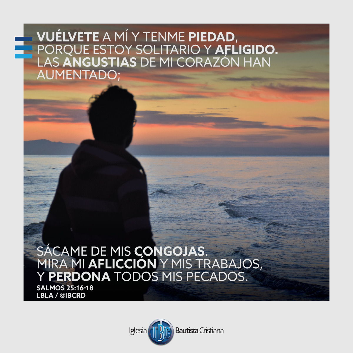 49DEBF76-025F-4E04-92BD-D3E7A08B4D2F.jpe