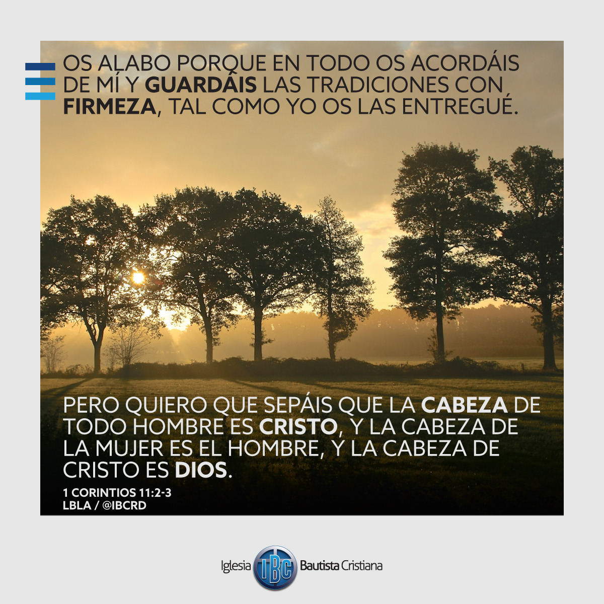 E68EA39C-FFCA-4BE2-8390-C13F8D3EB335.jpe