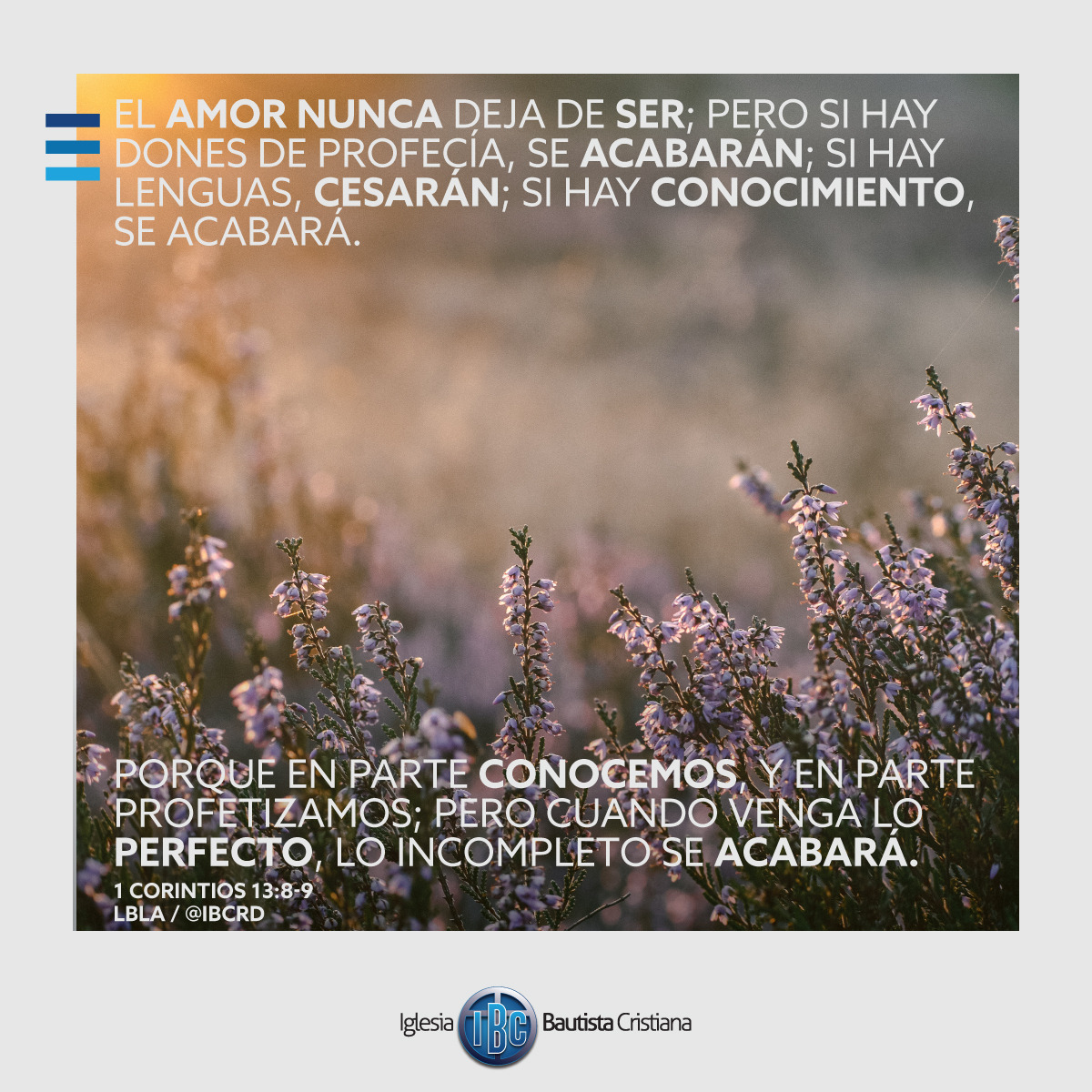 23D98375-76D4-47C8-8506-946D6390753F.jpe