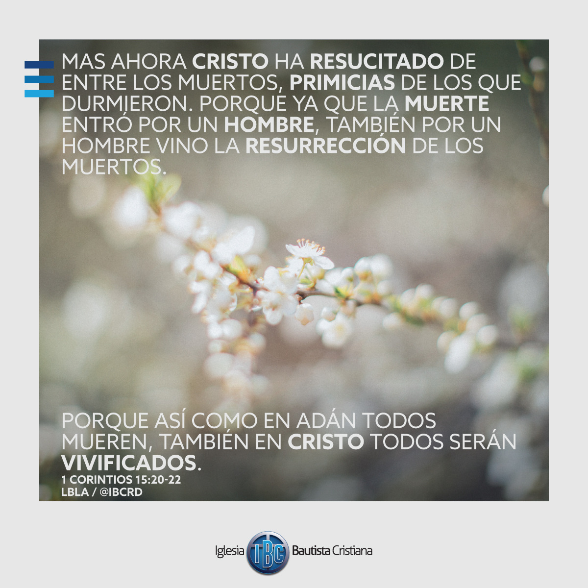 C17FCE4A-D7CB-4518-9C4B-5A21CD972A1A.jpe