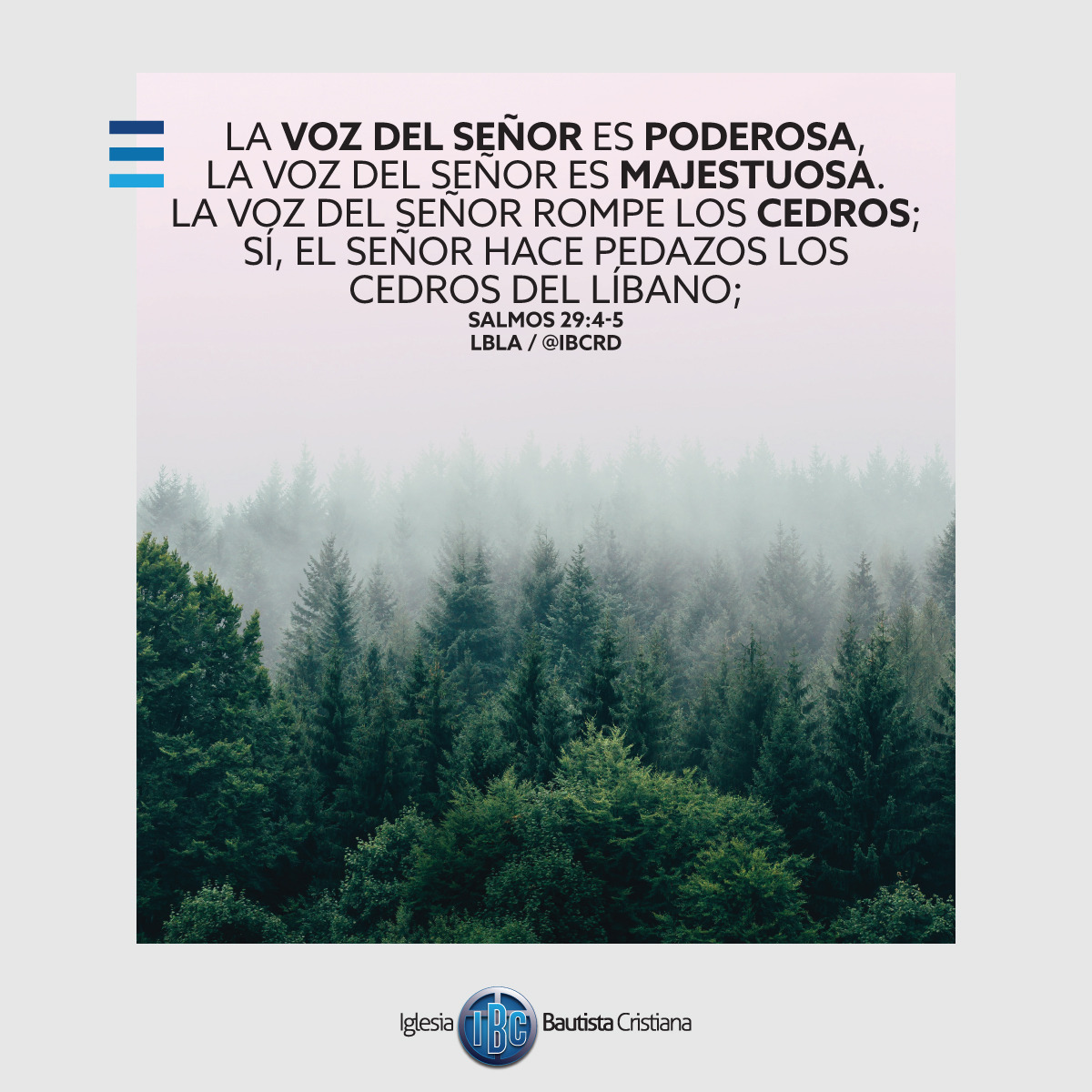 BD36D398-952E-4941-989E-954ED62E7DE8.jpe