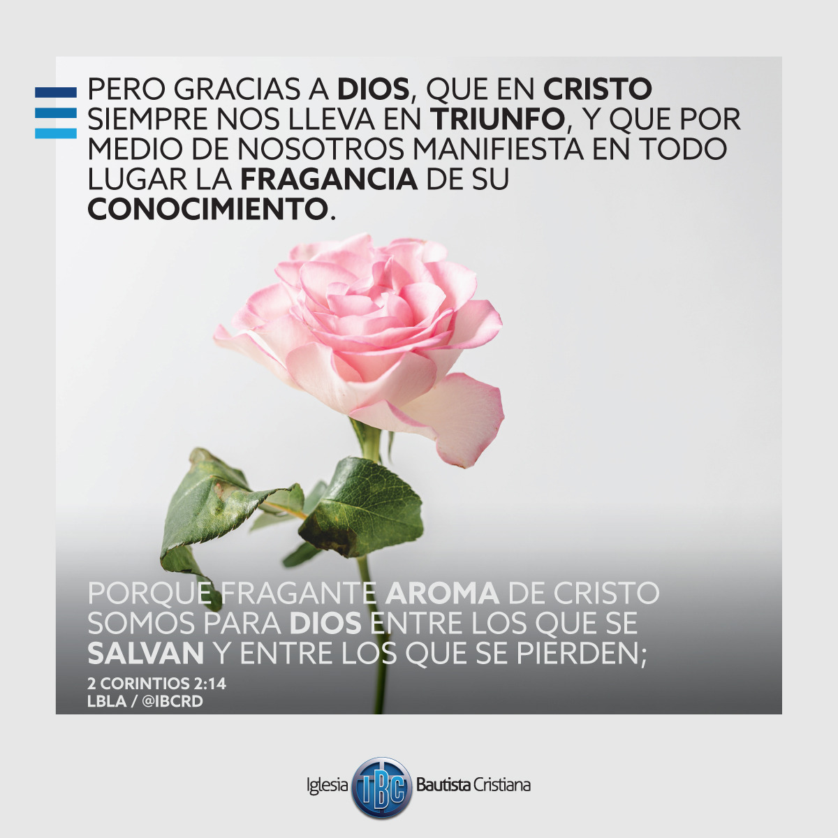 89876BC3-785C-4581-971B-4B3658626A34.jpe