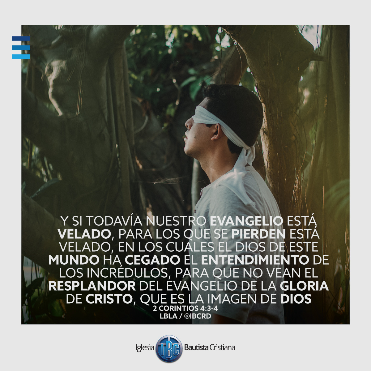 CC4FFC7F-BE7D-42C9-9208-9FCE0FE1ABC8.jpe