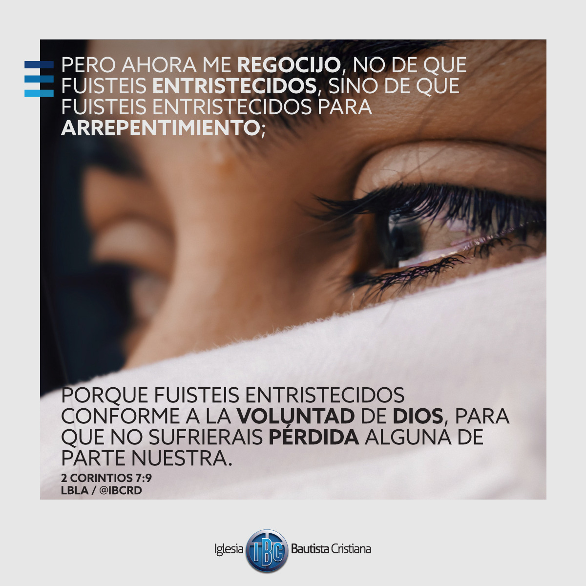 6CDA6D54-BCA2-4CA0-A10F-37B9869CC3F3.jpe