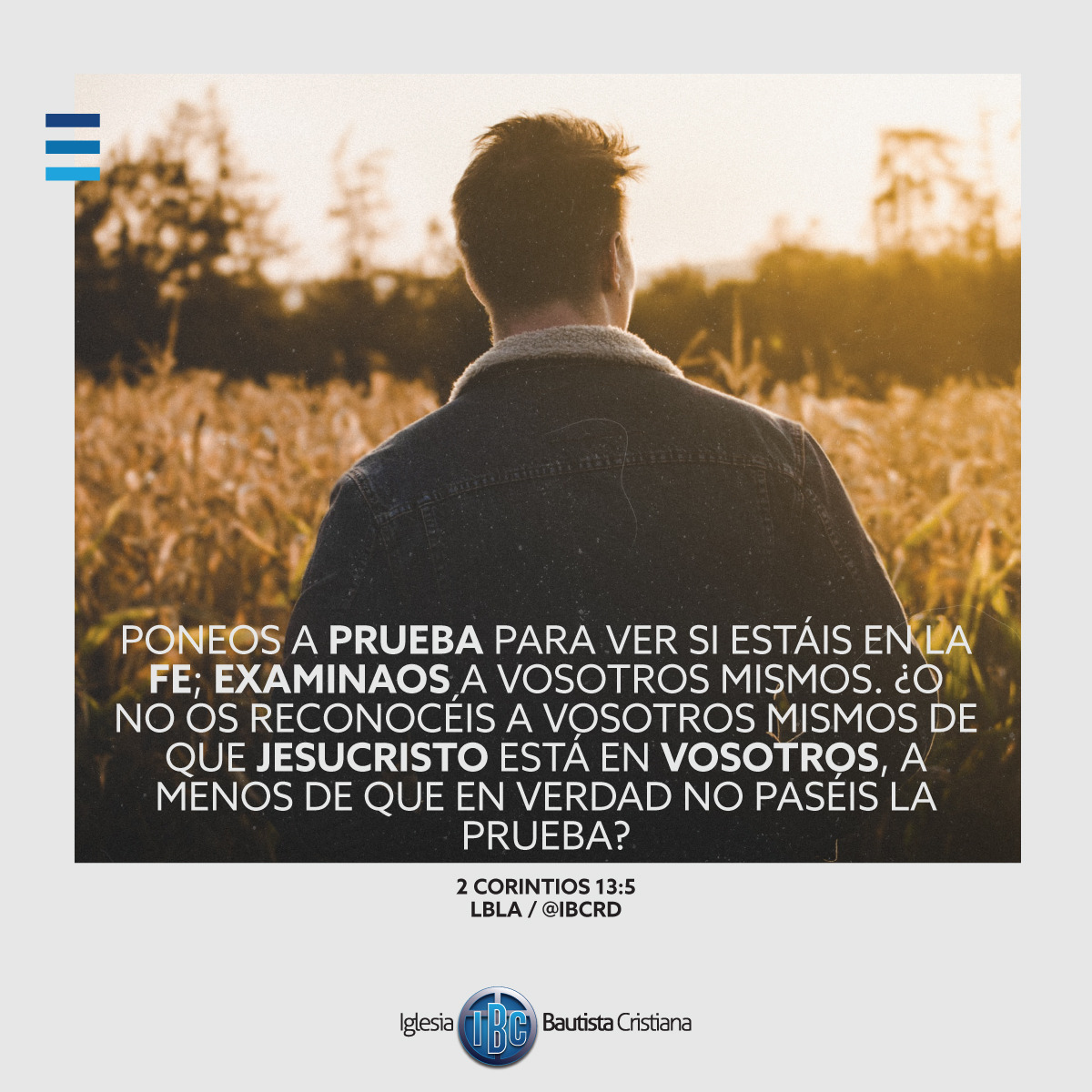 4C4E1DCF-6A2C-4FCF-B033-249E2BA9EB4F.jpe