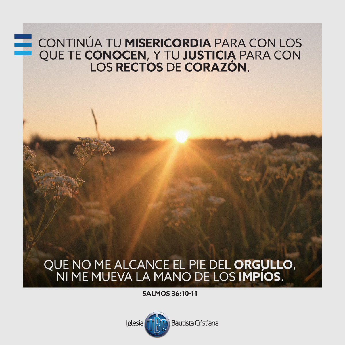 F0351360-6C10-44FD-902D-1F23BB9ED928.jpe