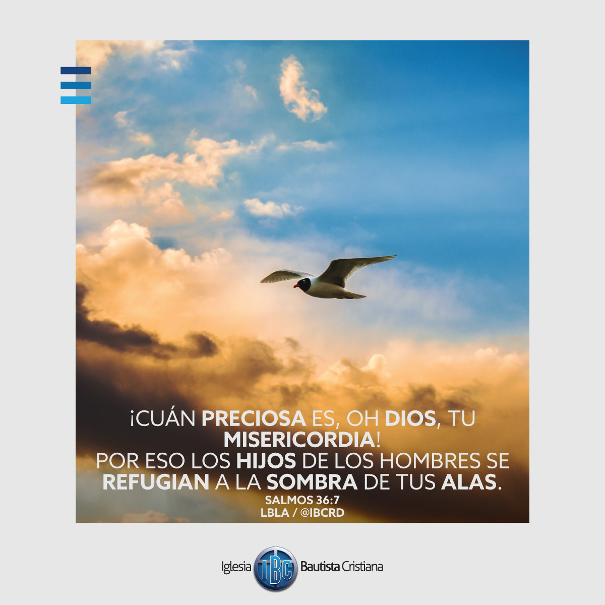 F1ED5BF4-556E-4EF7-952F-D7ED90642481.jpe