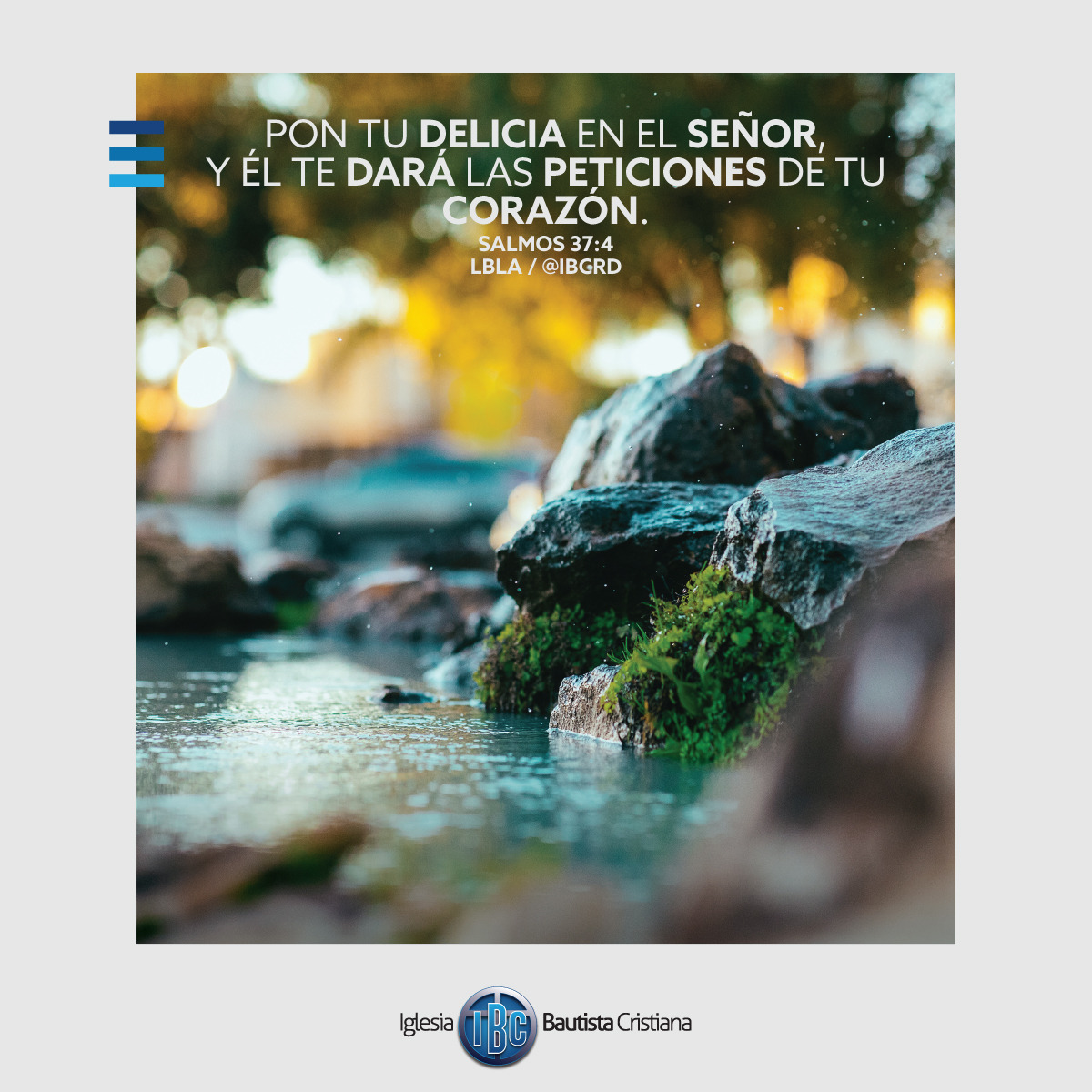 0026CDB6-0FF6-424A-931C-0A44D3839B7D.jpe