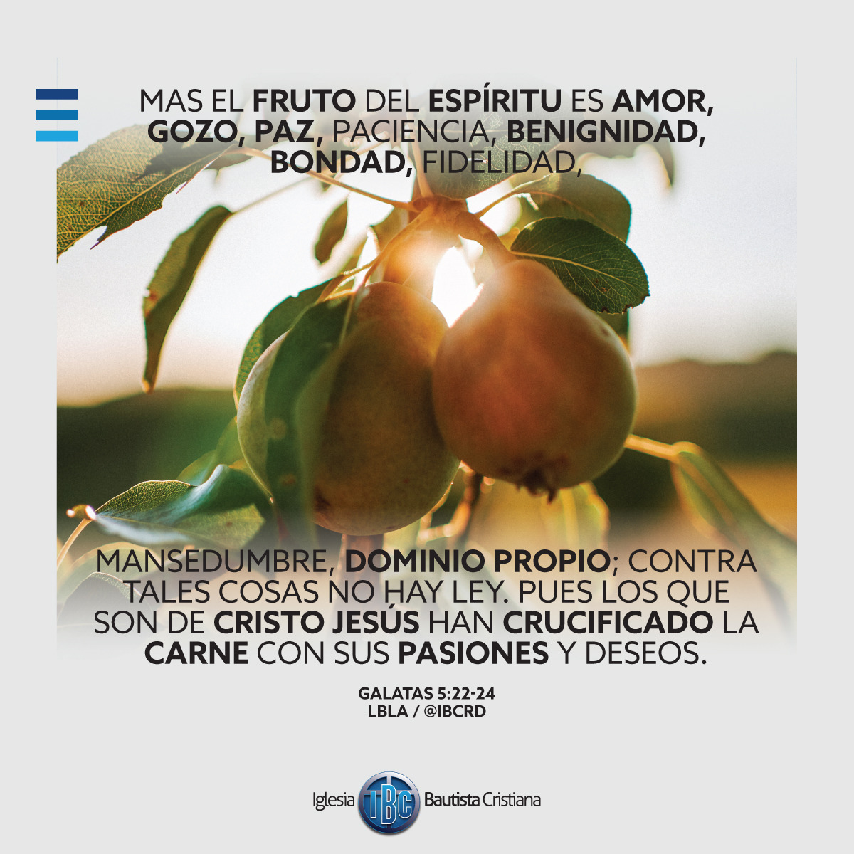 615E56DF-C73E-4DD6-81EA-CE4D5F98B766.jpe