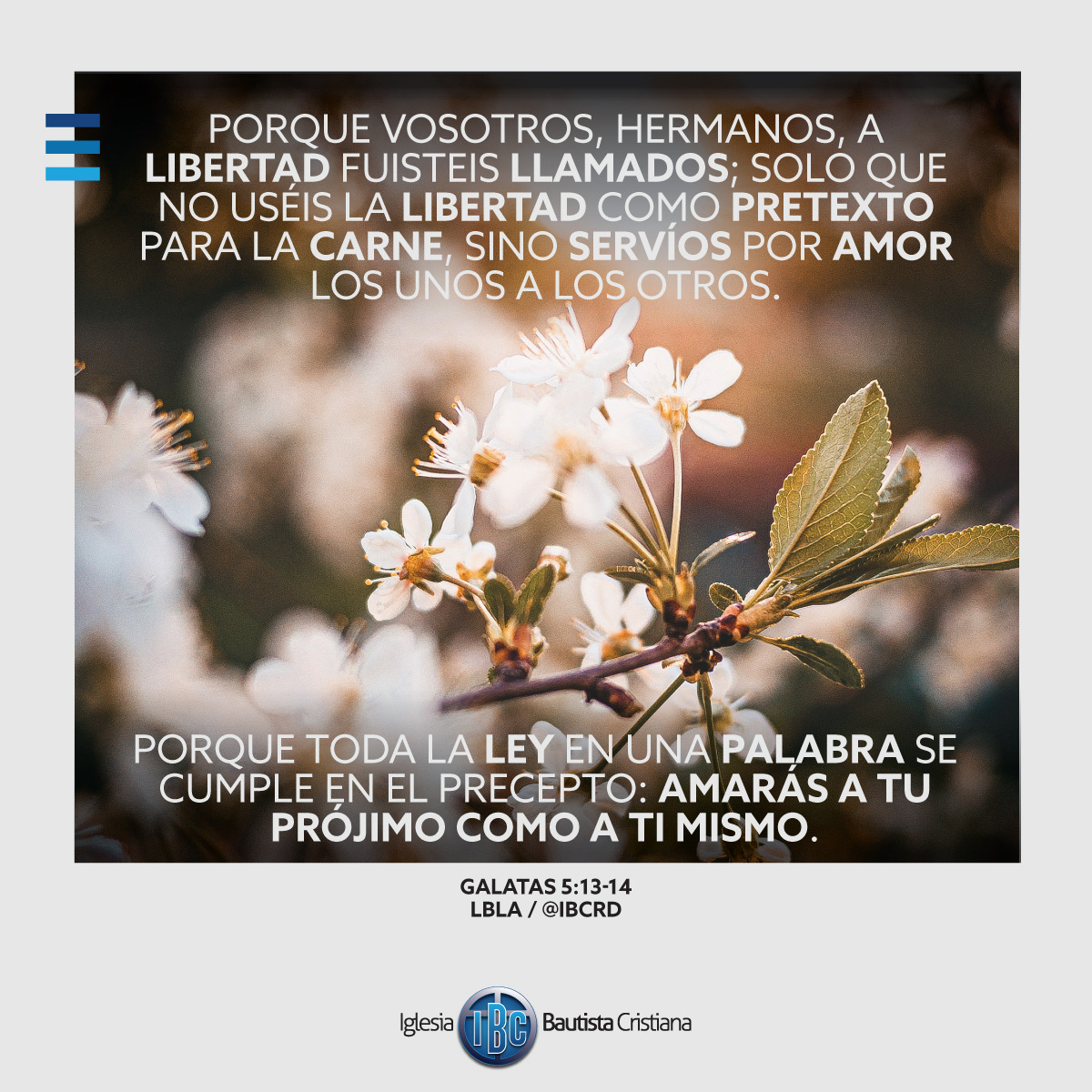 DC67AC49-C5F0-4EFF-8A83-DC4BD1D715E3.jpe