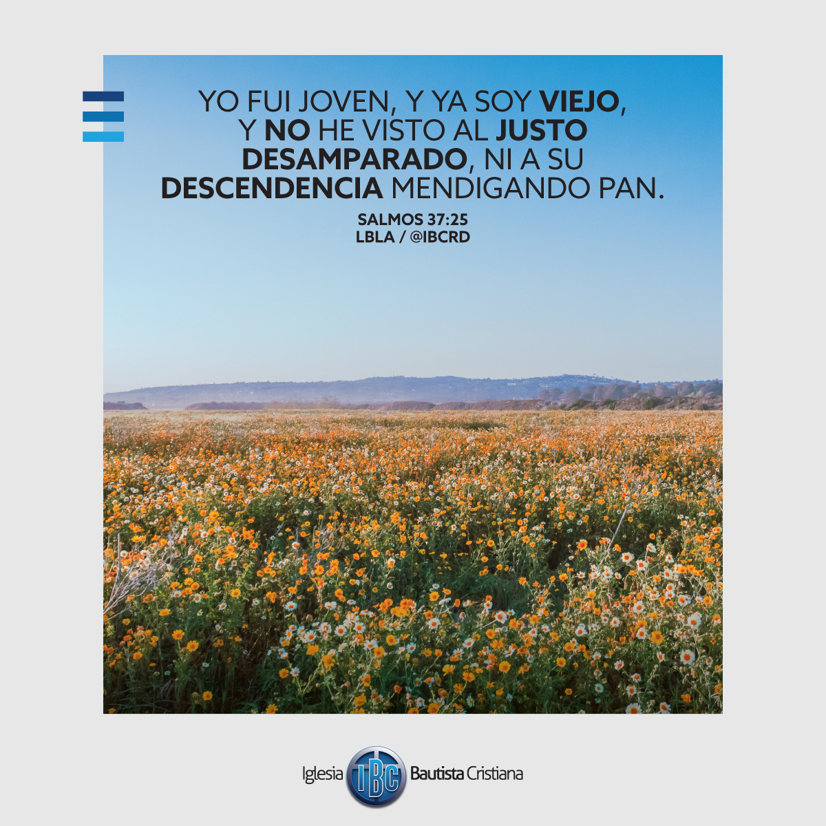 9B90E3DB-0A49-4F80-9CC3-89CFF6C4956A.jpe