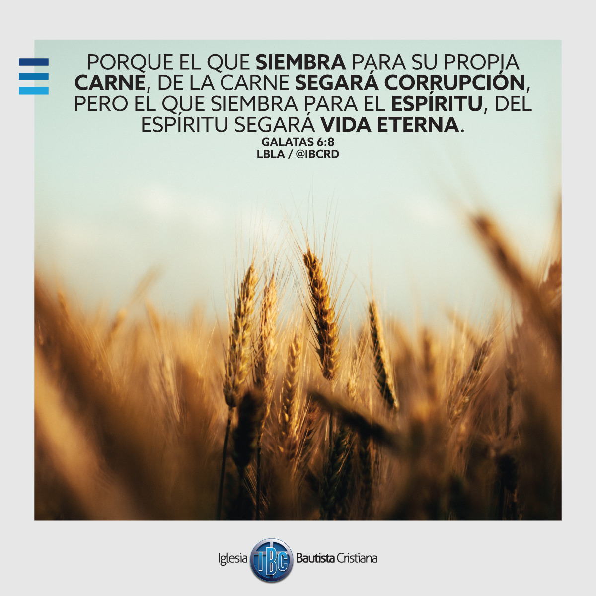 D1B9EED8-7045-4937-959D-6F8E1B38FEF4.jpe