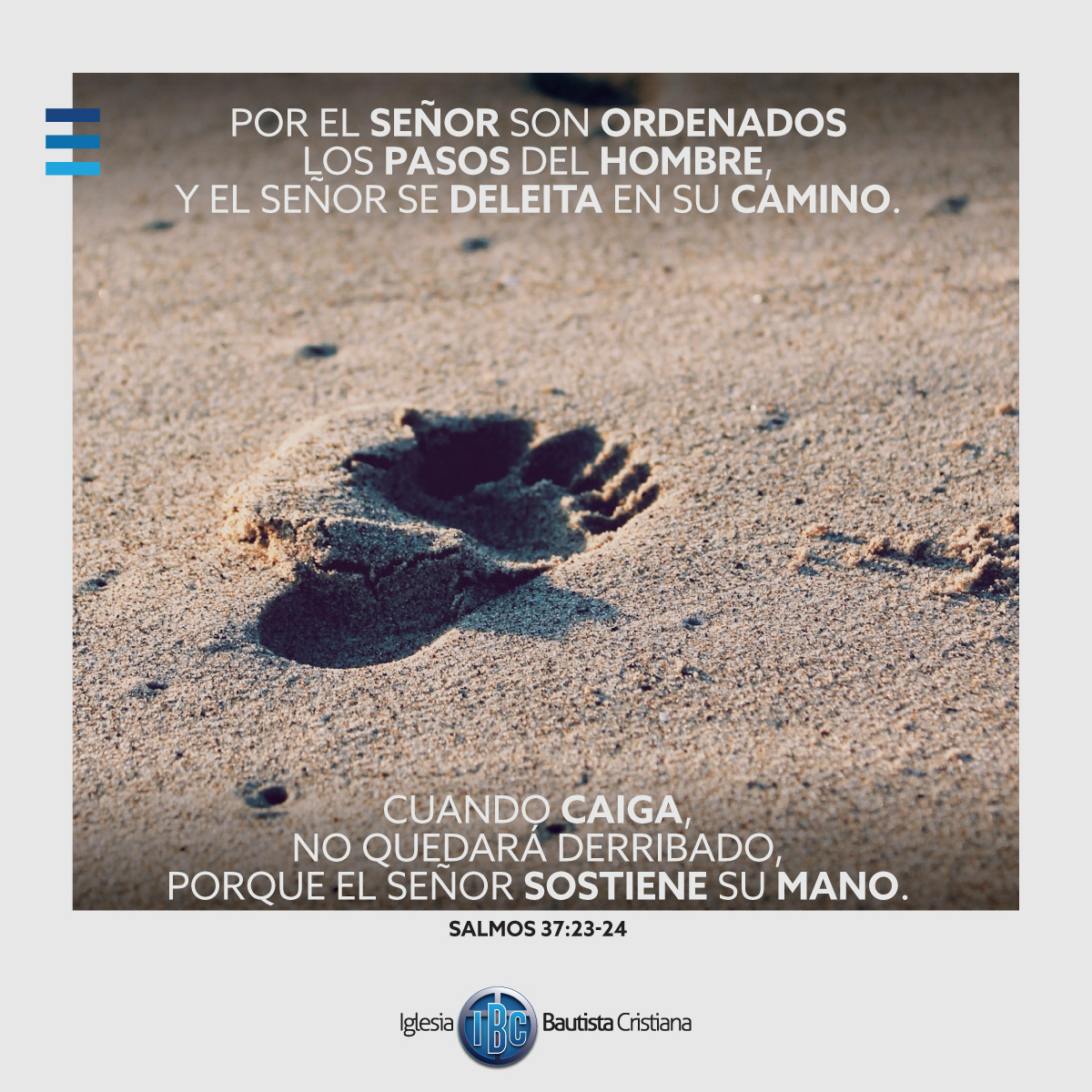 D4C5D7C6-41BD-4802-9D62-E20668D220B9.jpe