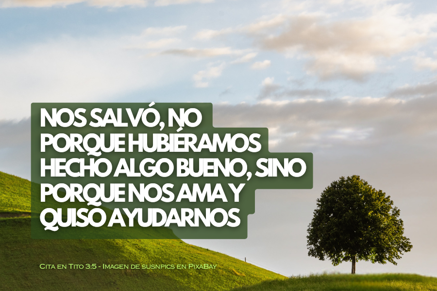 Nos salvó, no por obras de justicia que nosotros hubiéramos hecho, sino por su misericordia, por el lavado de la regeneración y por la renovación en el Espíritu Santo,.png