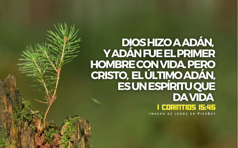 Cristo el postrer Adán.png