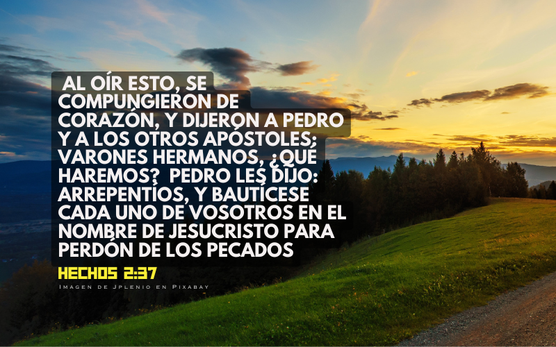 Dios creó primero a Adán, y después a Eva (800 x 500 px).png