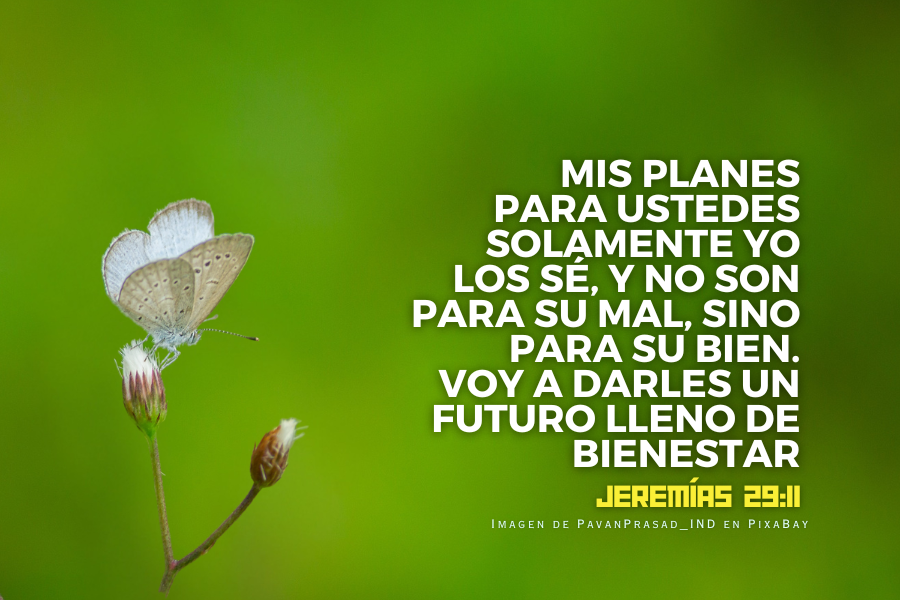 Mis planes para ustedes solamente yo los sé, y no son para su mal, sino para su bien. Voy a darles un futuro lleno de bienestar..png