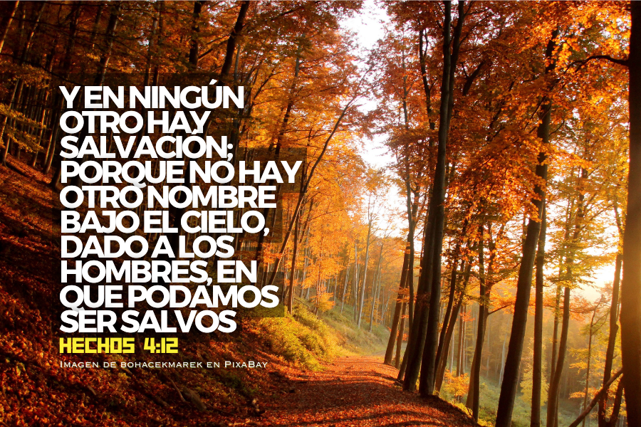 Y en ningún otro hay salvación; porque no hay otro nombre bajo el cielo, dado a los hombres, en que podamos ser salvos.png