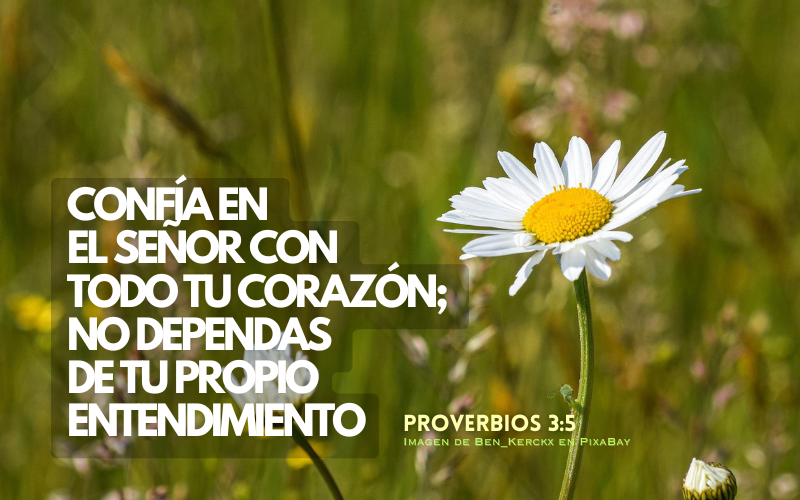 Confía en el SEÑOR con todo tu corazón; no dependas de tu propio entendimiento. (800 x 500 px).png