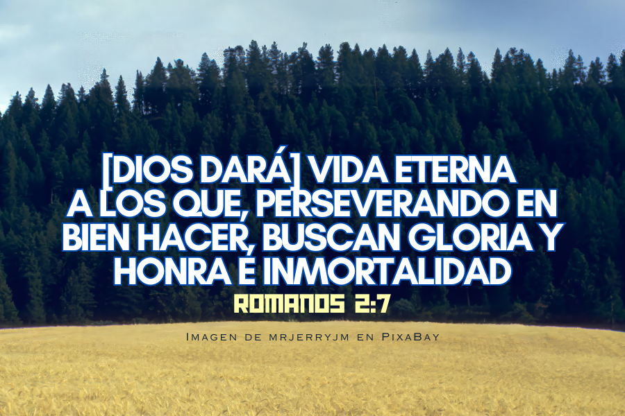 [Dios dará] vida eterna a los que, perseverando en bien hacer, buscan gloria y honra e inmortalidad.png