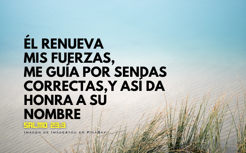Él renueva mis fuerzas. Me guía por sendas correctas, y así da honra a su nombre. (800 x 500 px).png