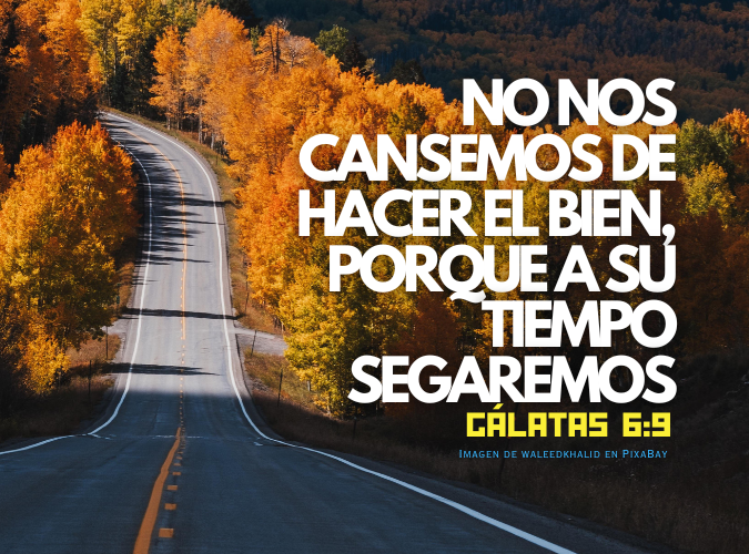 No nos cansemos de hacer el bien, porque a su tiempo segaremos.png