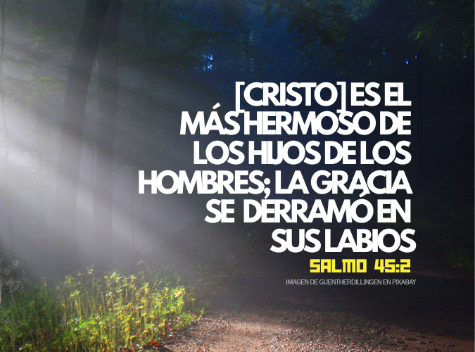 [Cristo] es el más hermoso de los hijos de los hombres; La gracia se derramó en Sus labios.png