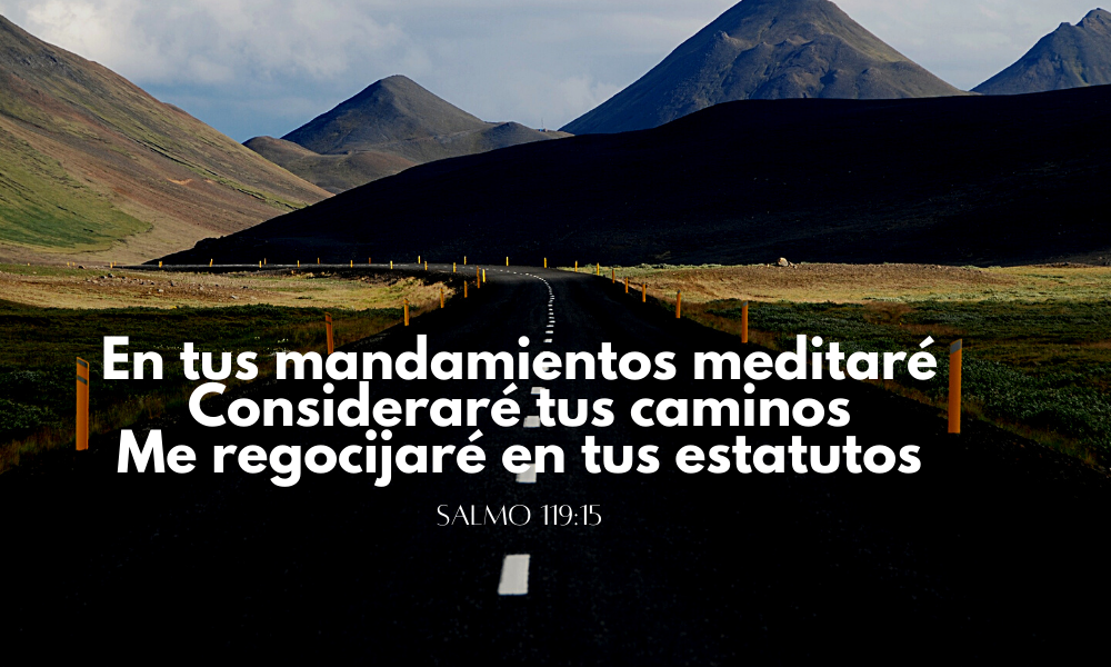 En tus mandamientos meditaré; Consideraré tus caminos. 16Me regocijaré en tus estatutos;.png