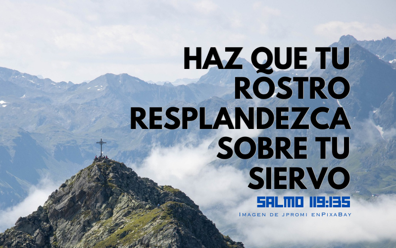 Haz que tu rostro resplandezca sobre tu siervo (800 x 500 px).png