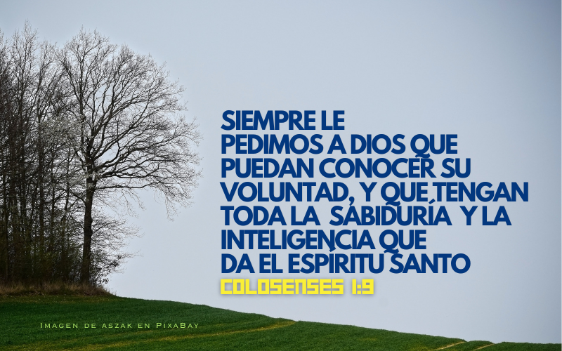 Seáis llenos del conocimiento en el Espíritu Santo.png