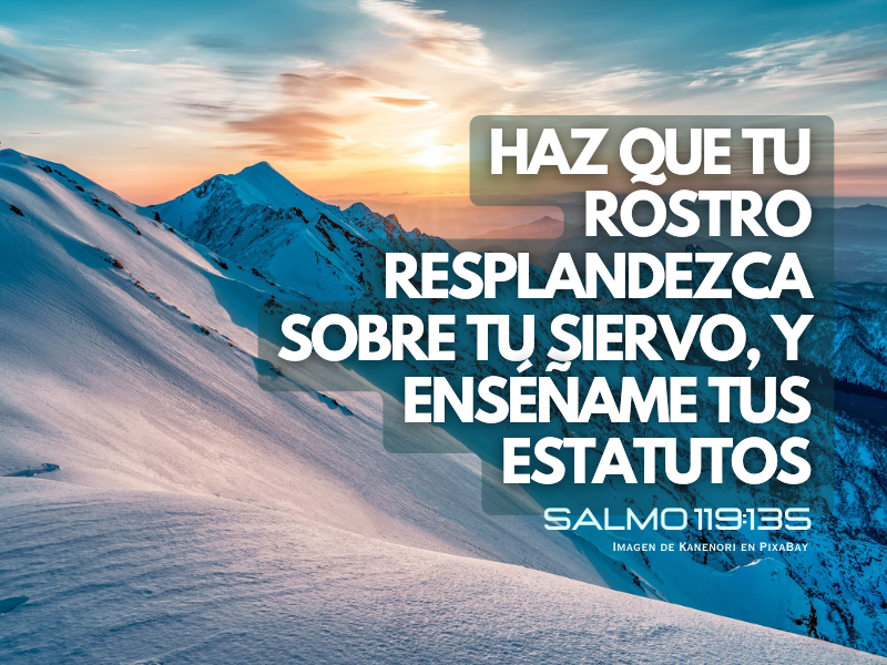Haz que tu rostro resplandezca sobre tu siervo, Y enséñame tus estatutos.(800 x 600 px).png