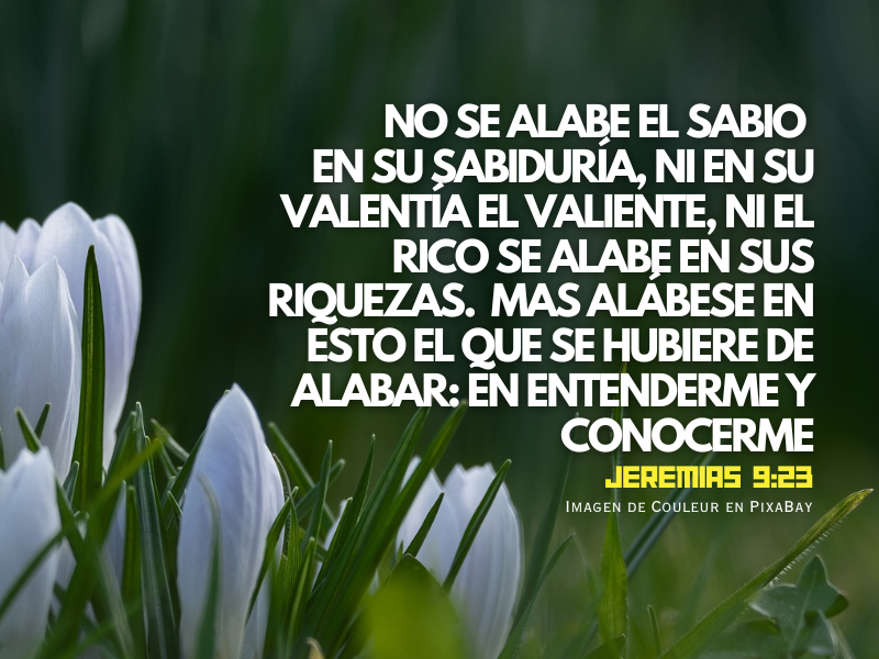 No se alabe el sabio en su sabiduría, sino en entenderme.png
