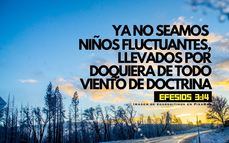 Ya no seamos niños llevados por todo viento de doctrina.png