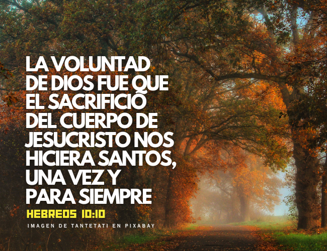 la voluntad de Dios fue que el sacrificio del cuerpo de Jesucristo nos hiciera santos, una vez y para siempre.png