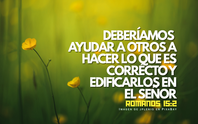 Deberíamos ayudar a otros a hacer lo que es correcto y edificarlos en el Señor (800 x 500 px).png