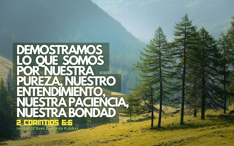Demostramos  lo  que  somos  por  nuestra  pureza, nuestro  entendimiento,  nuestra paciencia, nuestra bondad.png